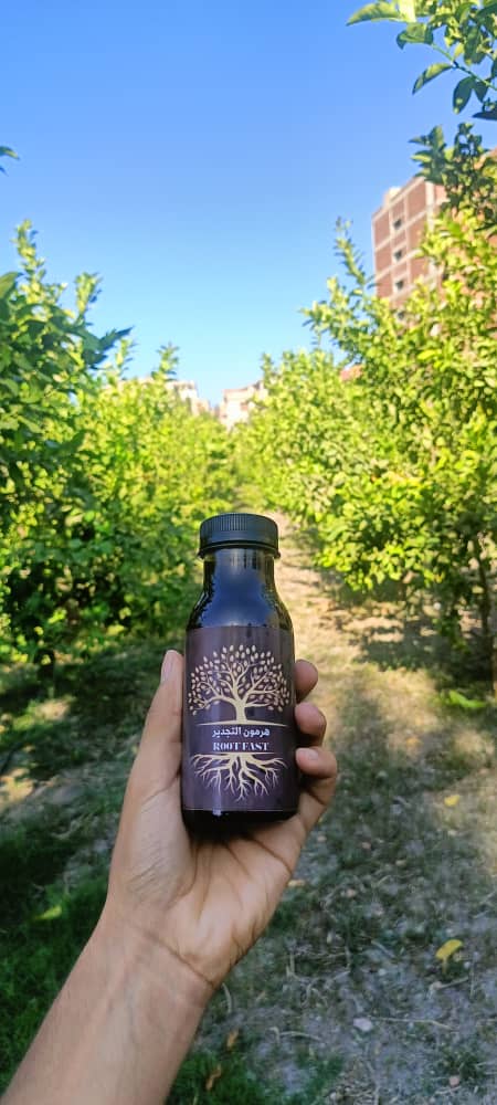 هرمون التجذير- Root Fast