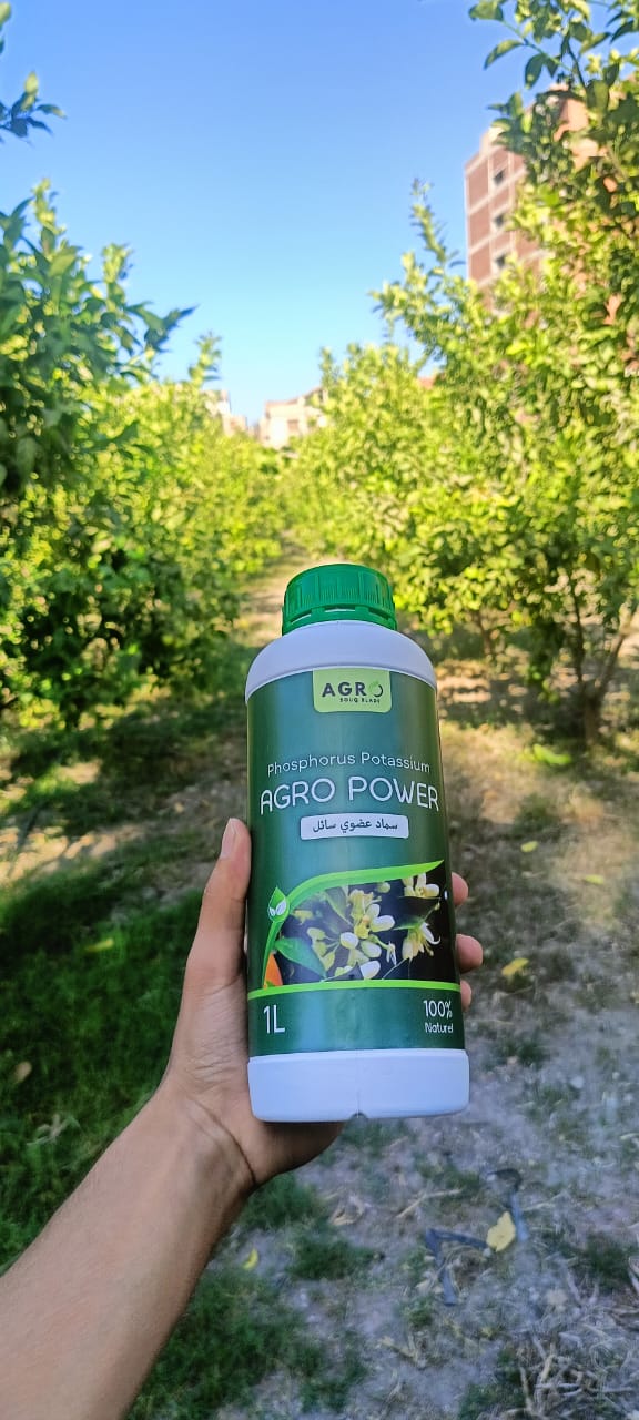AGRO POWER -  سماد سائل