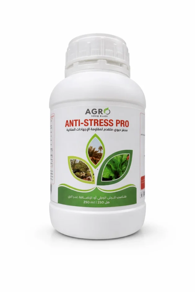 Anti Stress